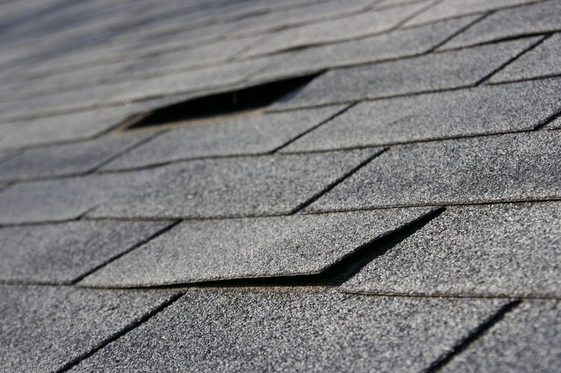 Damaged Shingles Removal