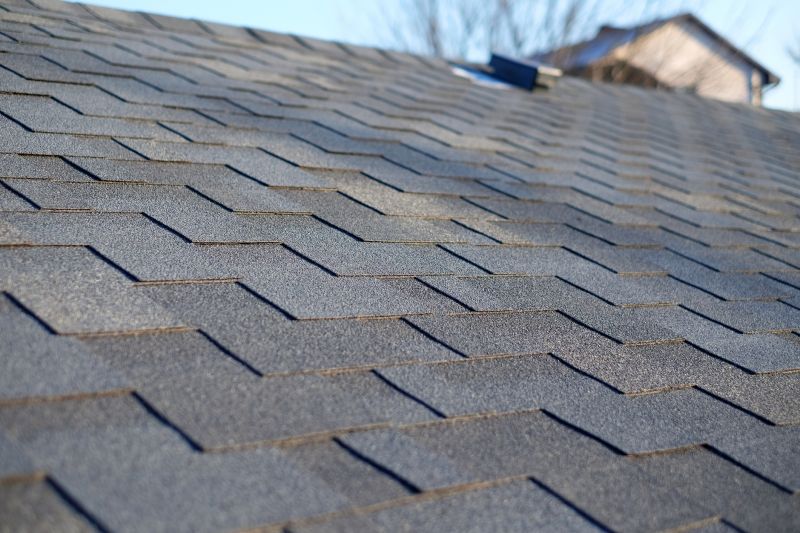 Asphalt Shingle Roofs